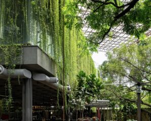 Under a canopy of trees and trailing creepers, the outdoor seating area feels wild and grown