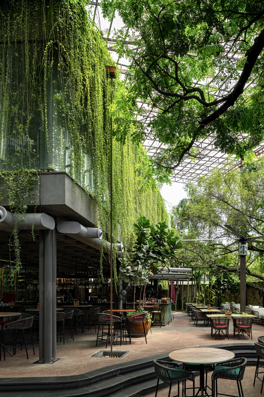 Under a canopy of trees and trailing creepers, the outdoor seating area feels wild and grown